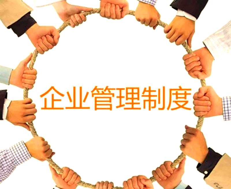 企业严管 制度化管理的高效发展之路